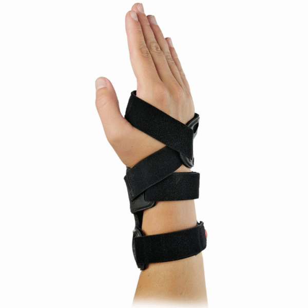 CarpaForm Progetto senza titolo7 10