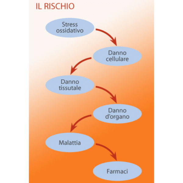 H&D FRAS 5 Misuratore dello stress ossidativo 3 Progetto senza titolo11 5
